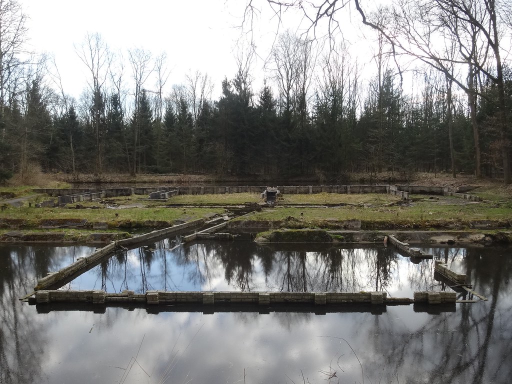 Het Waterloopbos Het Waterloopbos